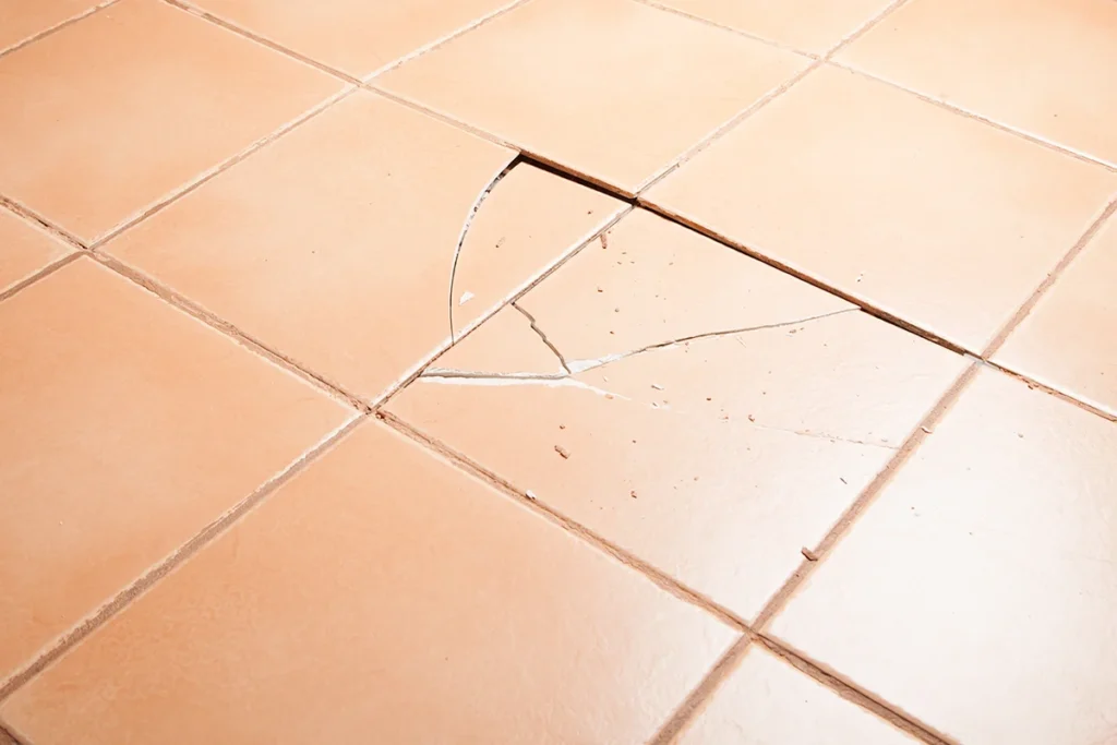 ORANGE ST 10 | Home ORANGE ST 10|Home